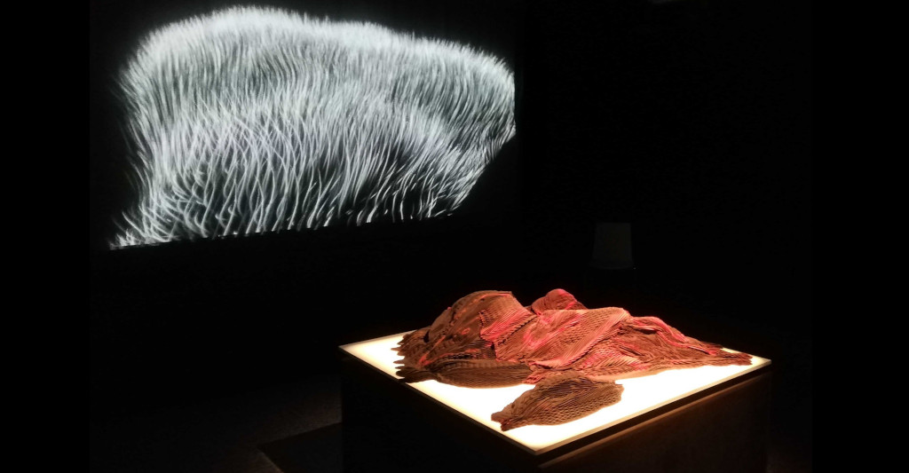 Projet Topographie Digitale